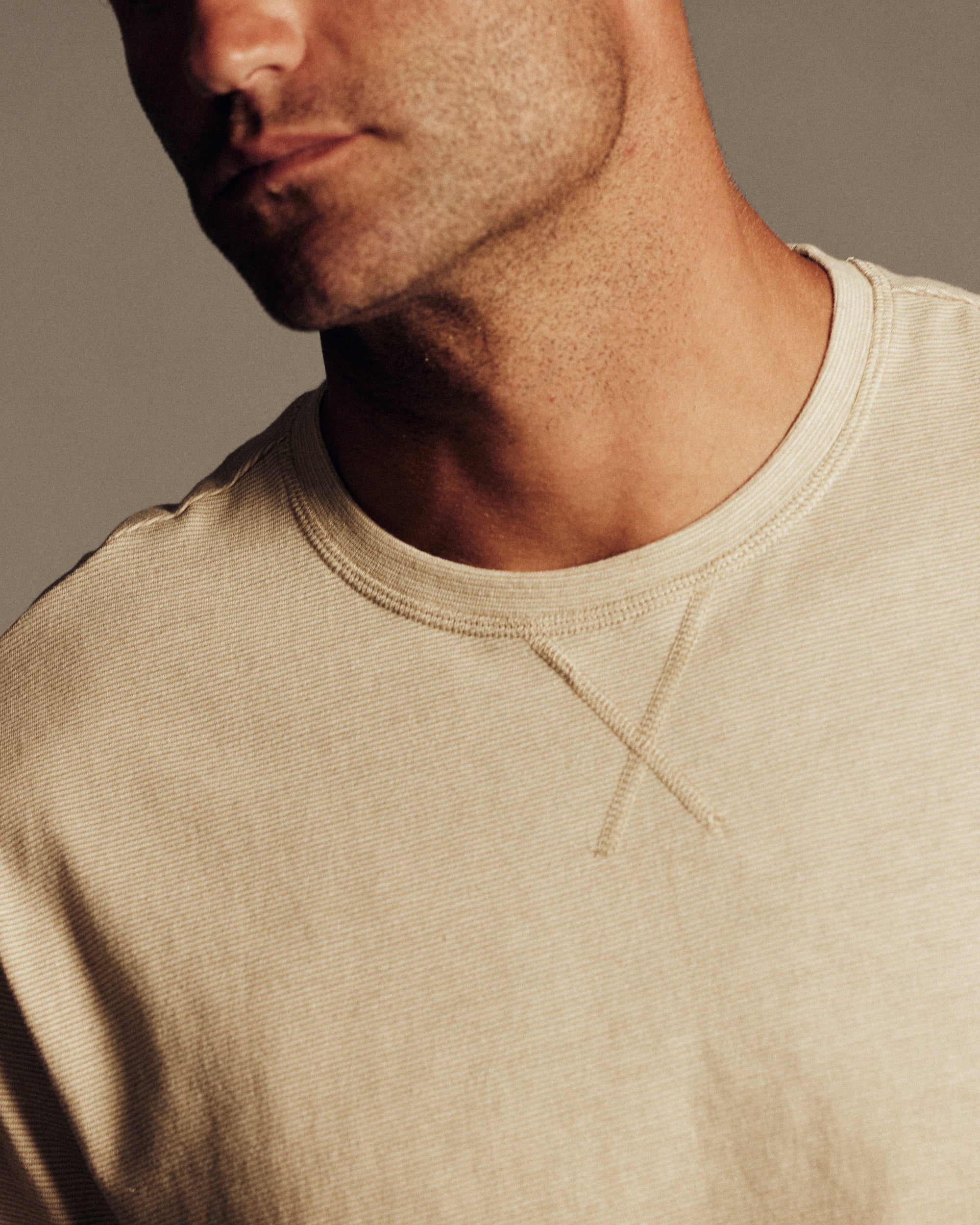 Signature Microstripe Crew in Light Tan