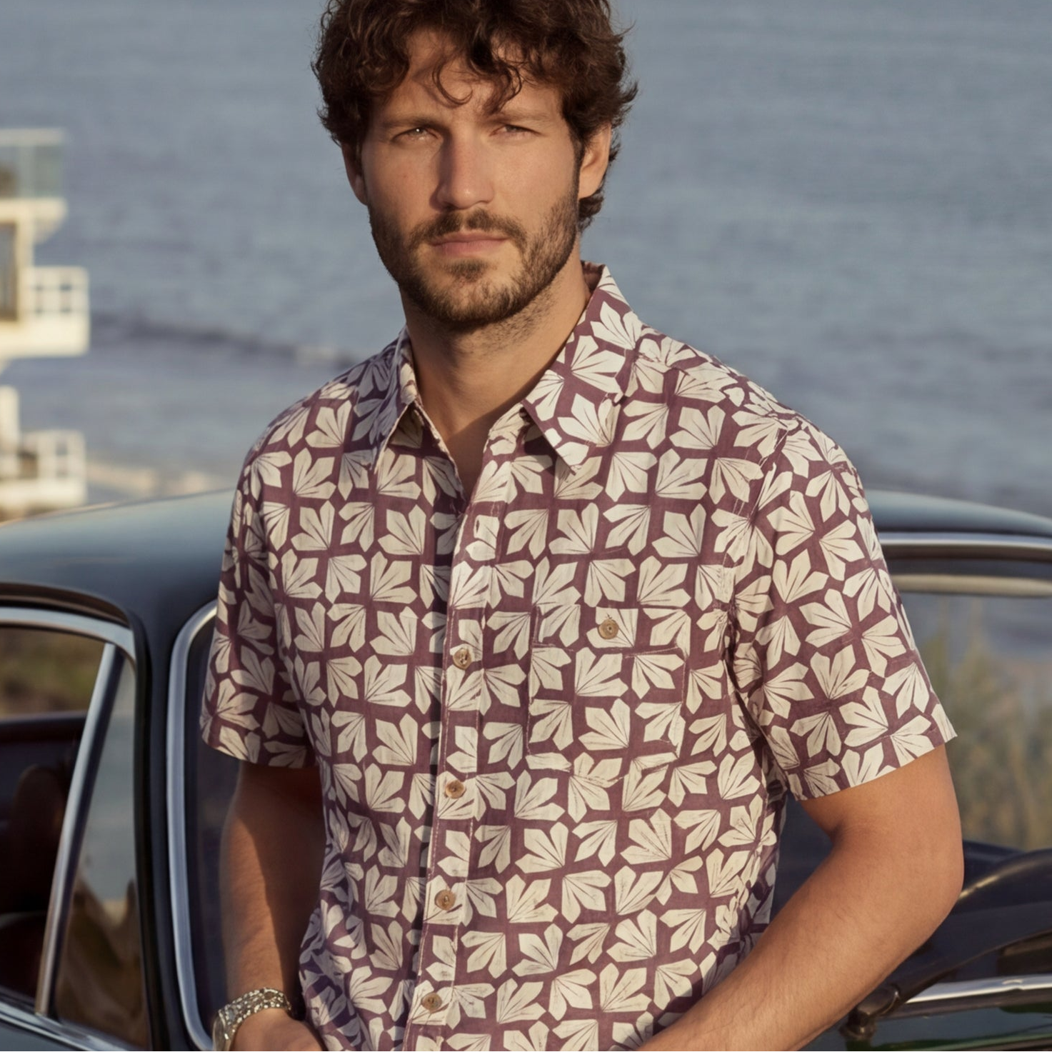 Model_and_Car.png