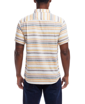 S2484285GK_CITRUS_BACK.jpg