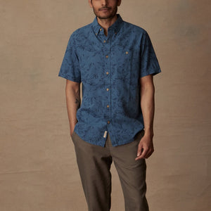 S2584299_BLUEASHES107452Large.jpg