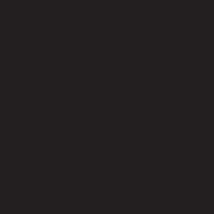 Untitled_design_1.jpg