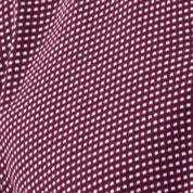 Dobby Button Down Shirt in Burgundy